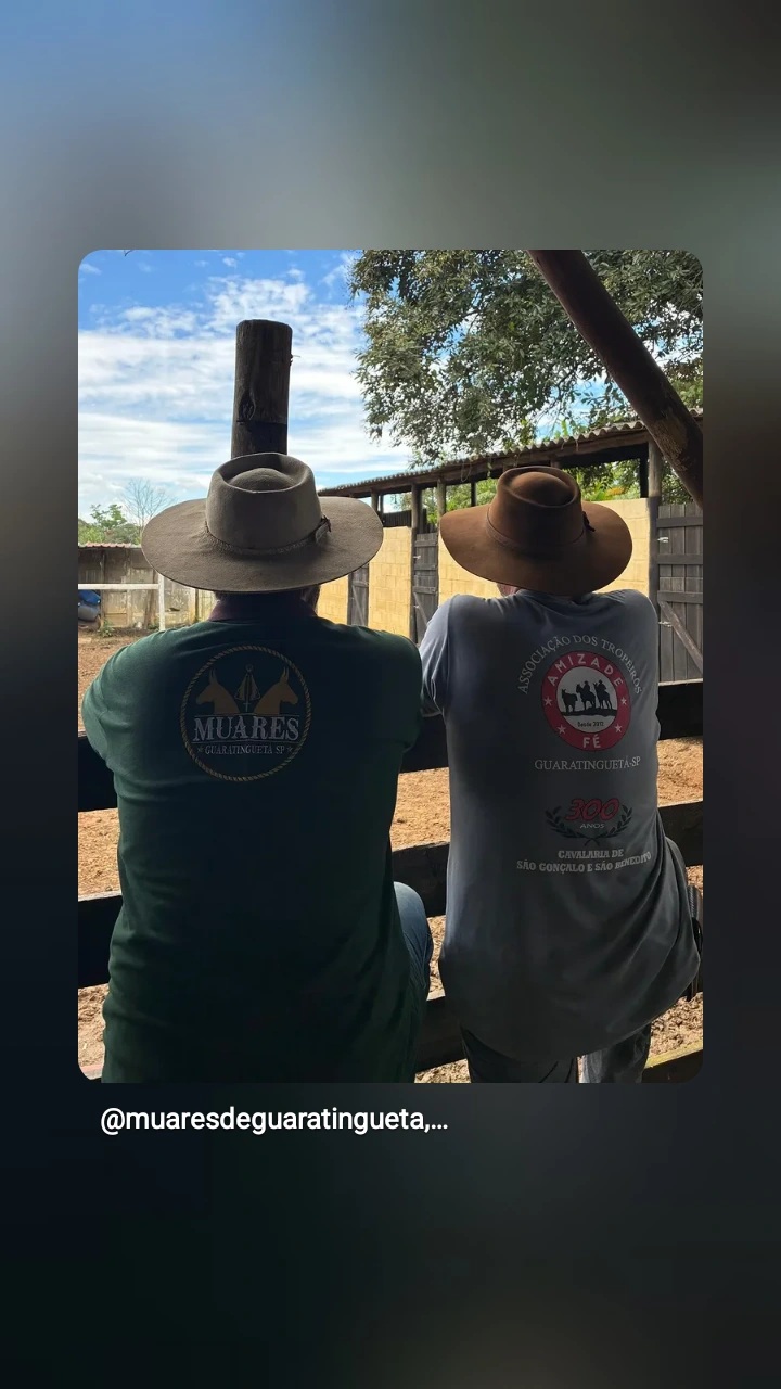 SaveClip.App_656322290_18579985234046107_2925338708492274572_n Uniformes Profissionais Sob Medida para Empresas